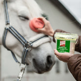 BREMSENBREMSE proaktiv Insekten-Gel 500ml Dose mit Schwamm Anwendung Pferd