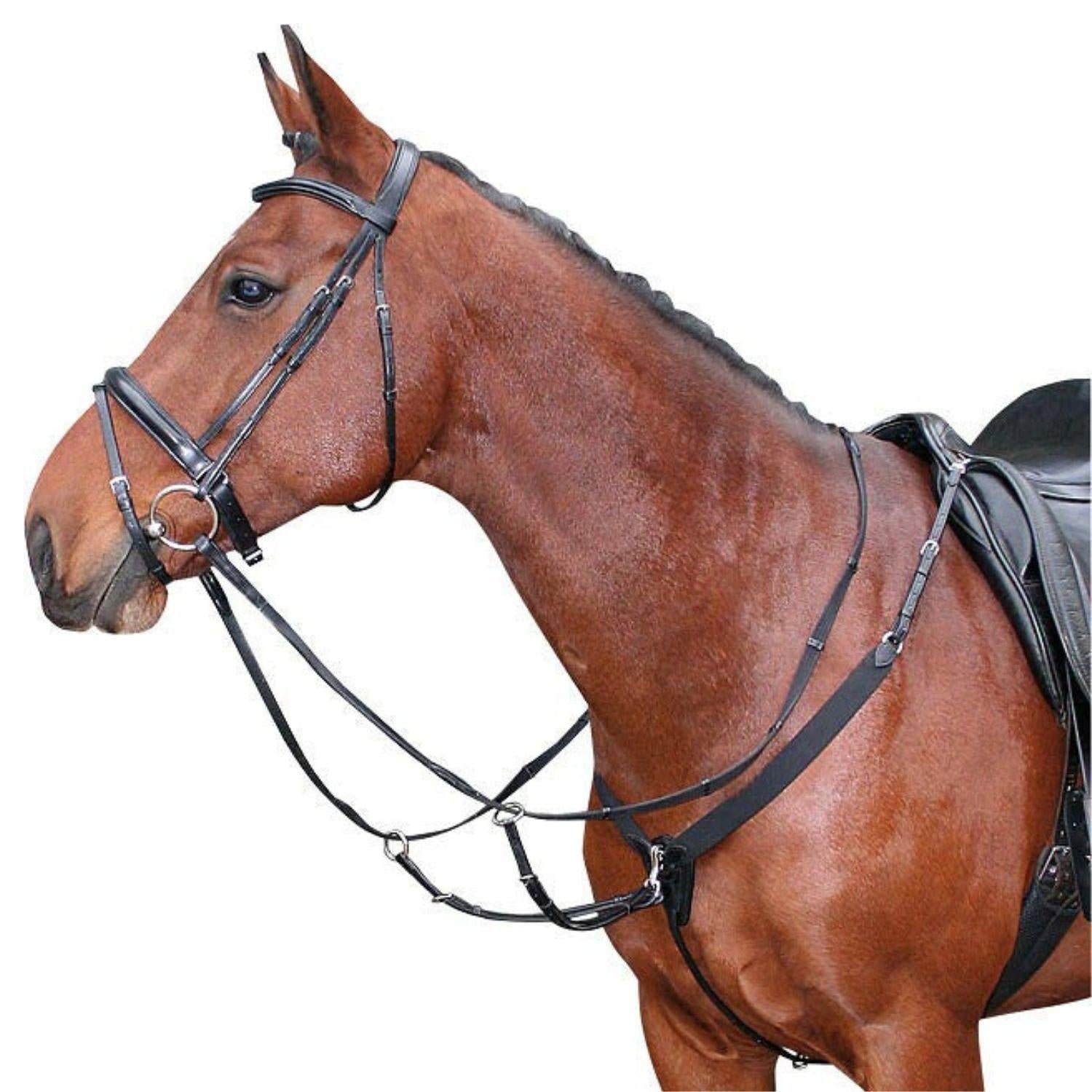 Harry’s Horse Elastisches Vorderzeug schwarz