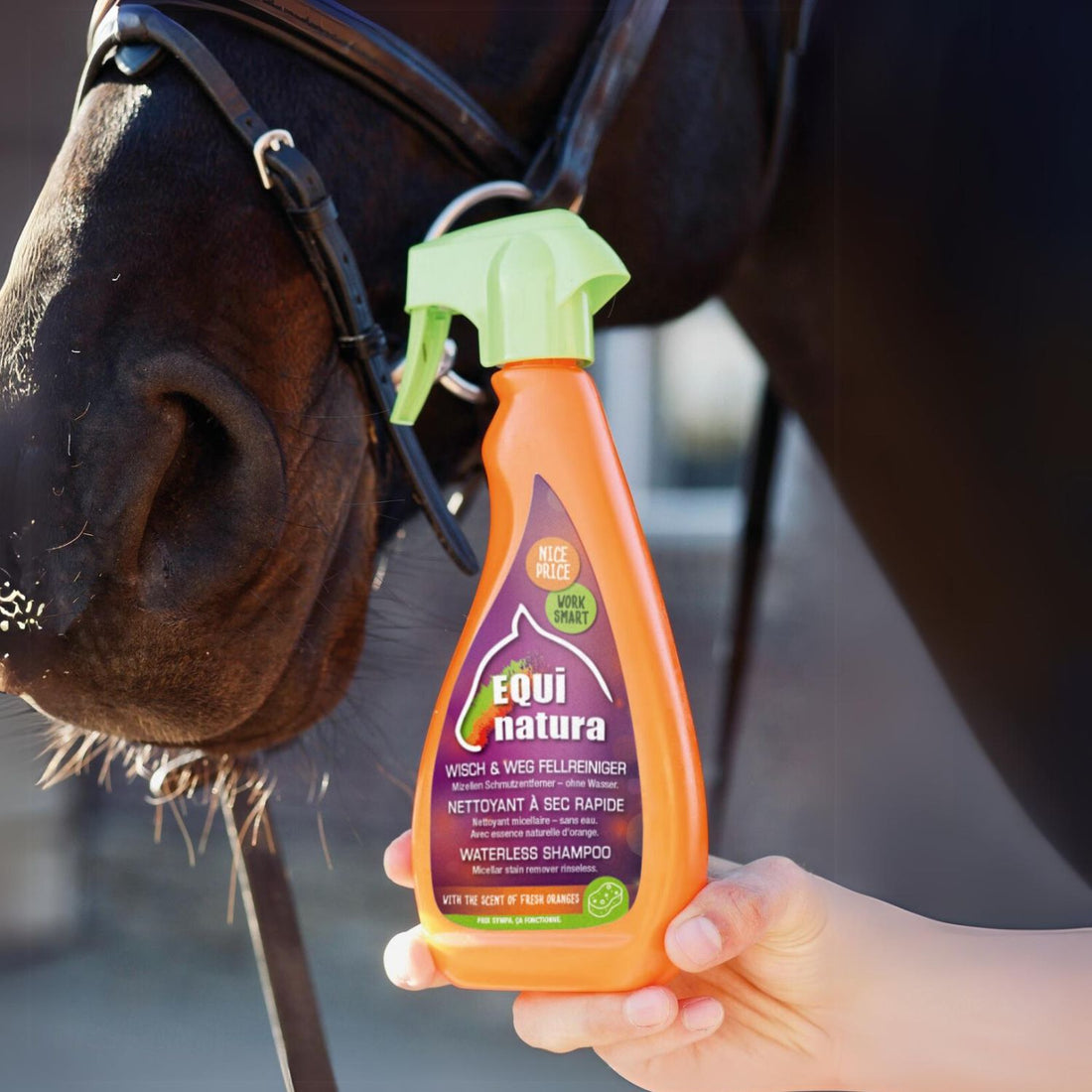 Equinatura Wisch &amp; Weg Fellreiniger schnelles reinigen ohne Wasser - ePony Reitsport