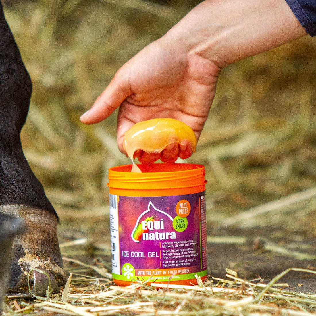 Equinatura Ice Cool Gel Kühlgel kühlt schnell, stark und lang anhaltend - ePony Reitsport
