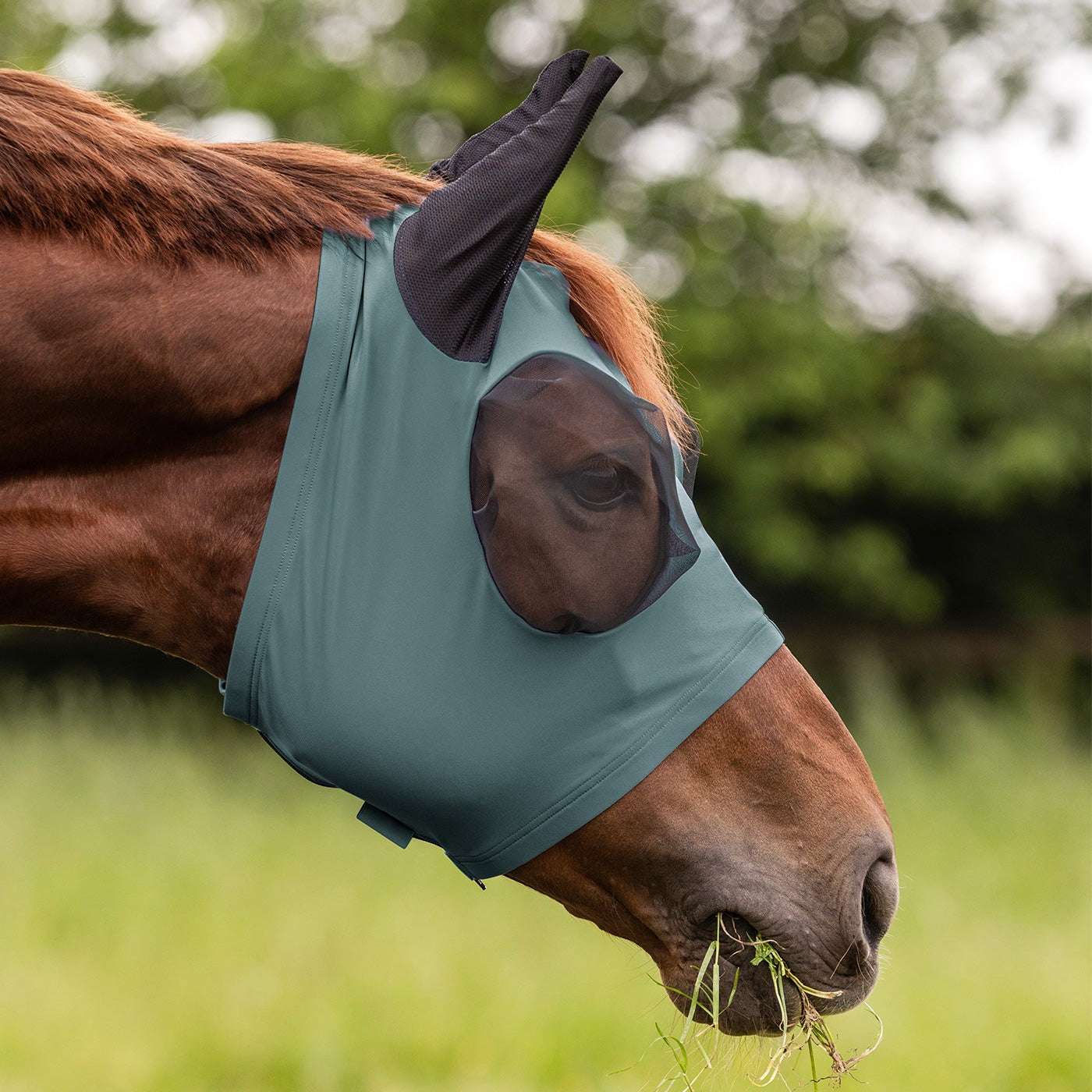 Waldhausen Fly Mask Puck pine green