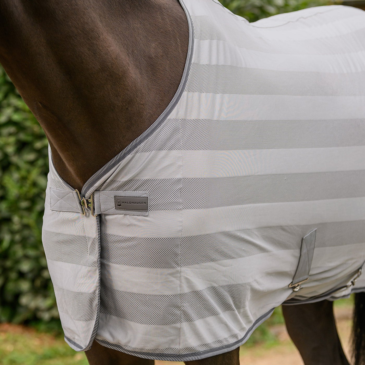 Waldhausen Economic Fly Sheet with Cross Surcingles Silver Grey