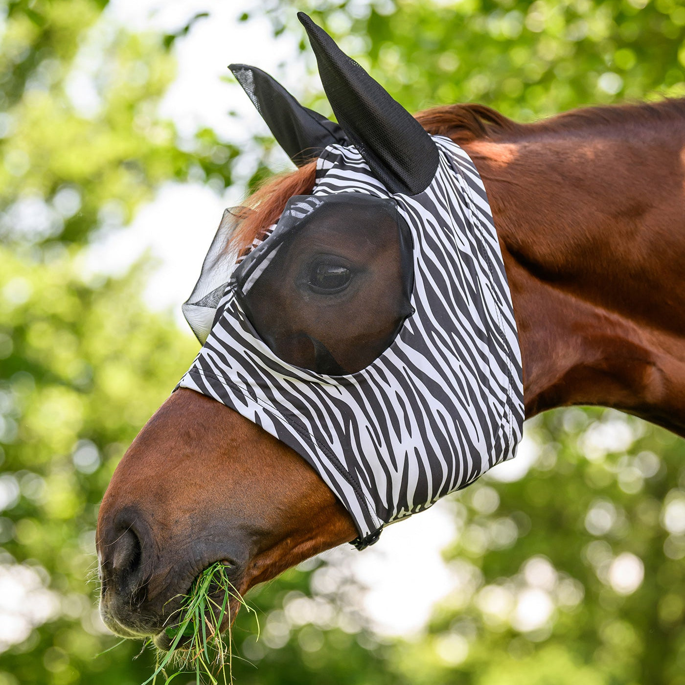 Waldhausen Fliegenmaske Puck Zebra schwarz weiß