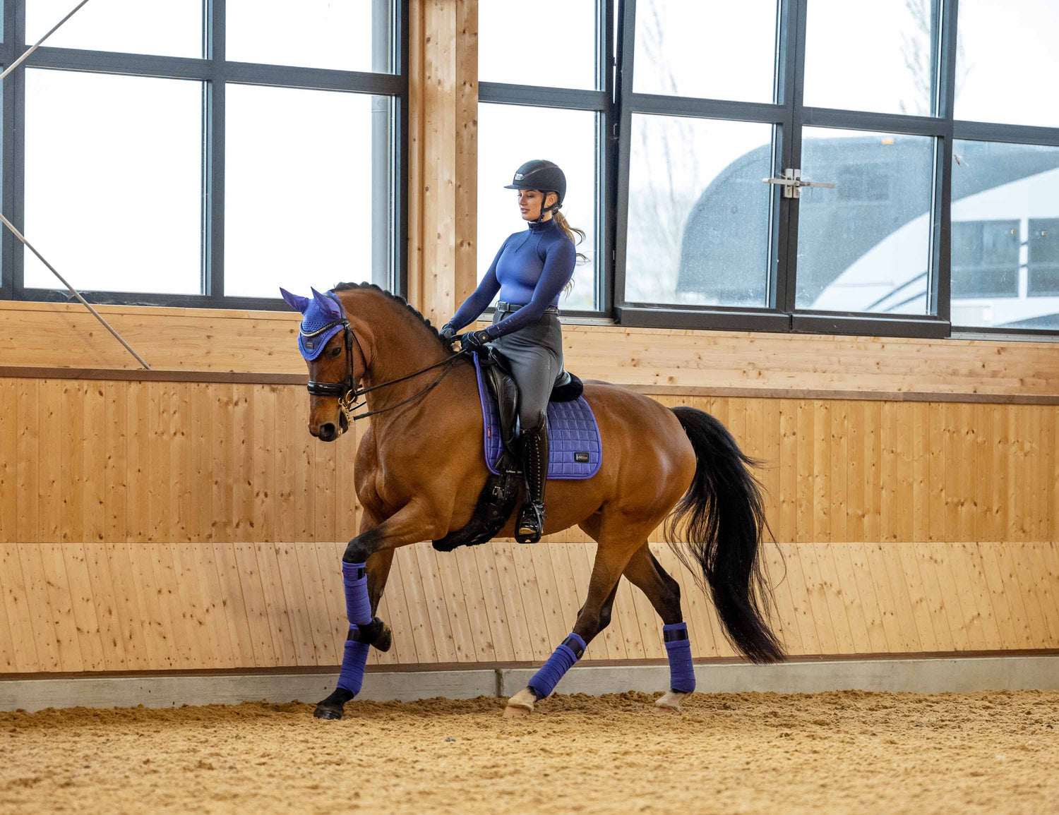 LeMieux Schabracke Spectrum Satin Dressage Square bluebell