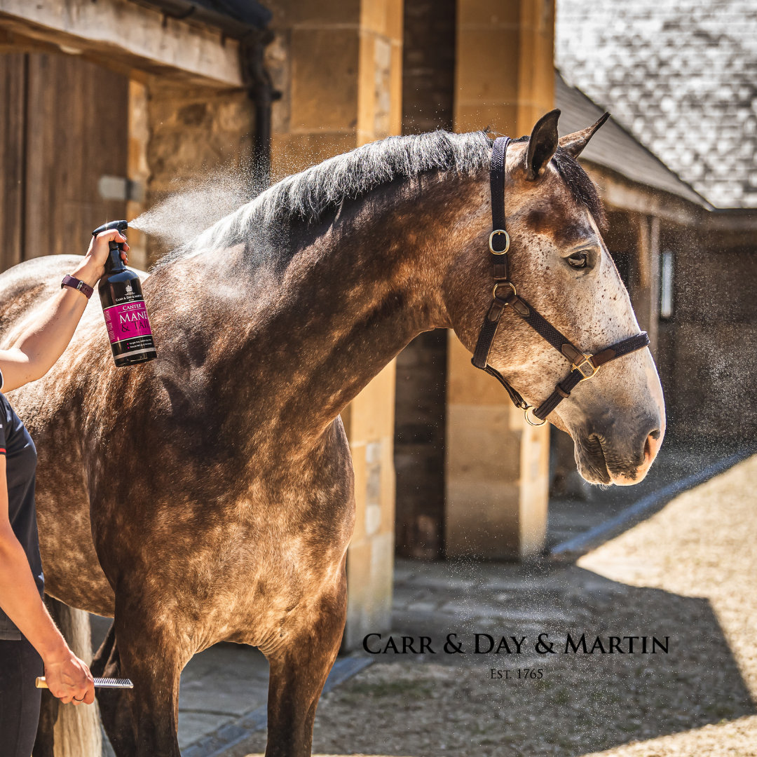 Carr &amp; Day &amp; Martin Canter Mane &amp; Tail Conditioner Schweif- und Mähnenspray Anwendung