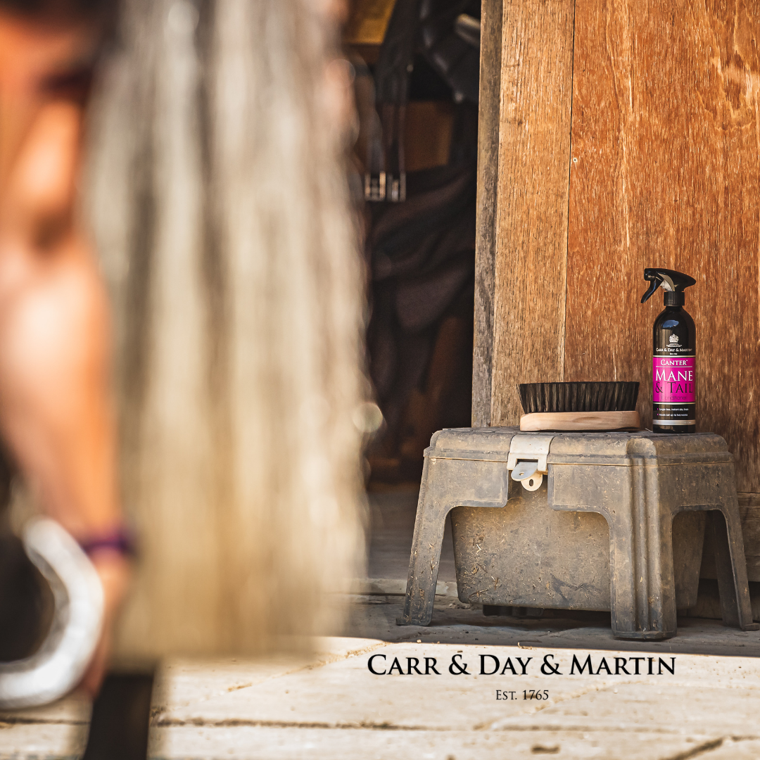 Carr &amp; Day &amp; Martin Canter Mane &amp; Tail Conditioner Schweif- und Mähnenspray Anwendung