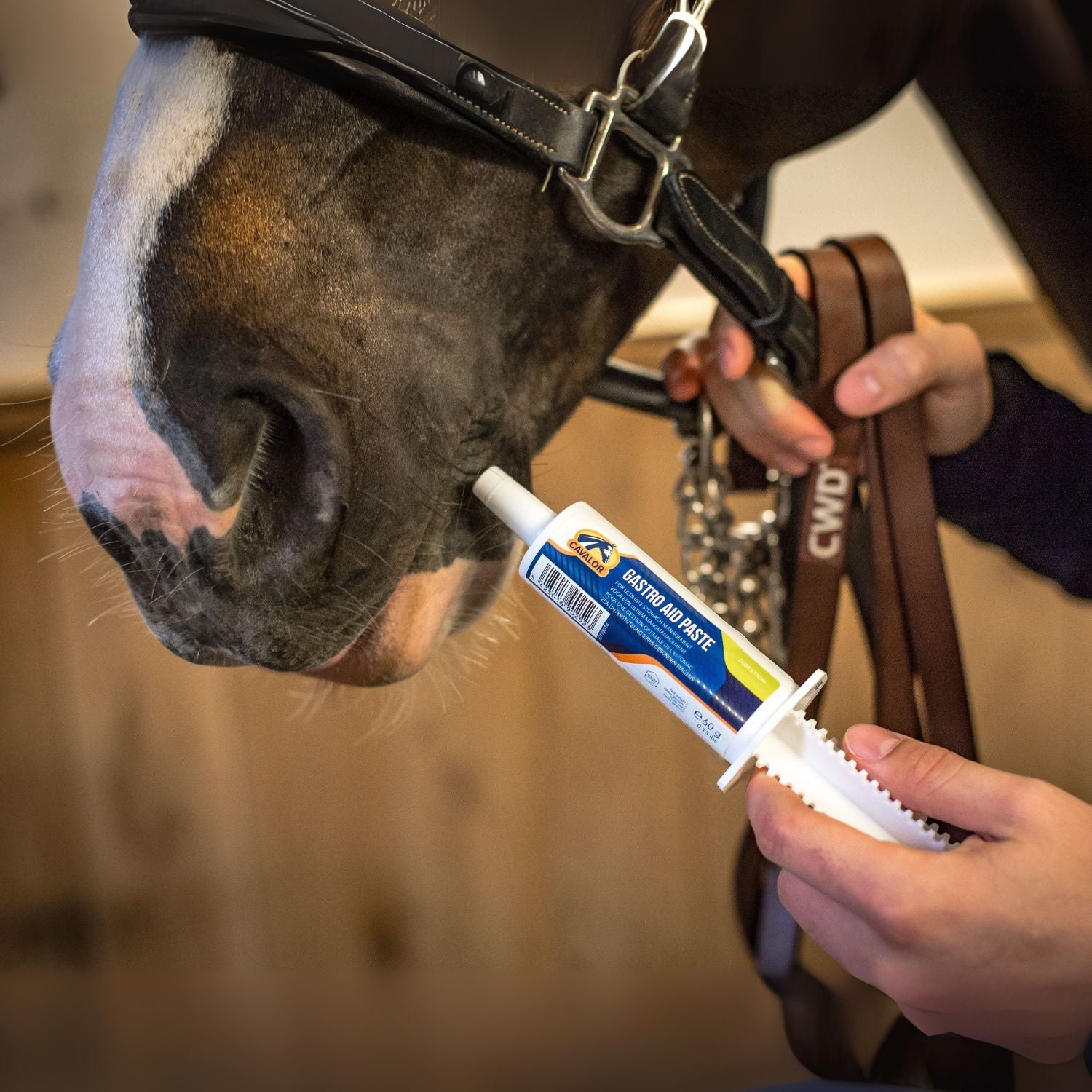 Cavalor Gastro Aid Paste zur Unterstützung einer ausgewogenen Magenfunktion