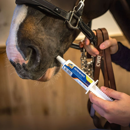 Cavalor Gastro Aid Paste zur Unterstützung einer ausgewogenen Magenfunktion