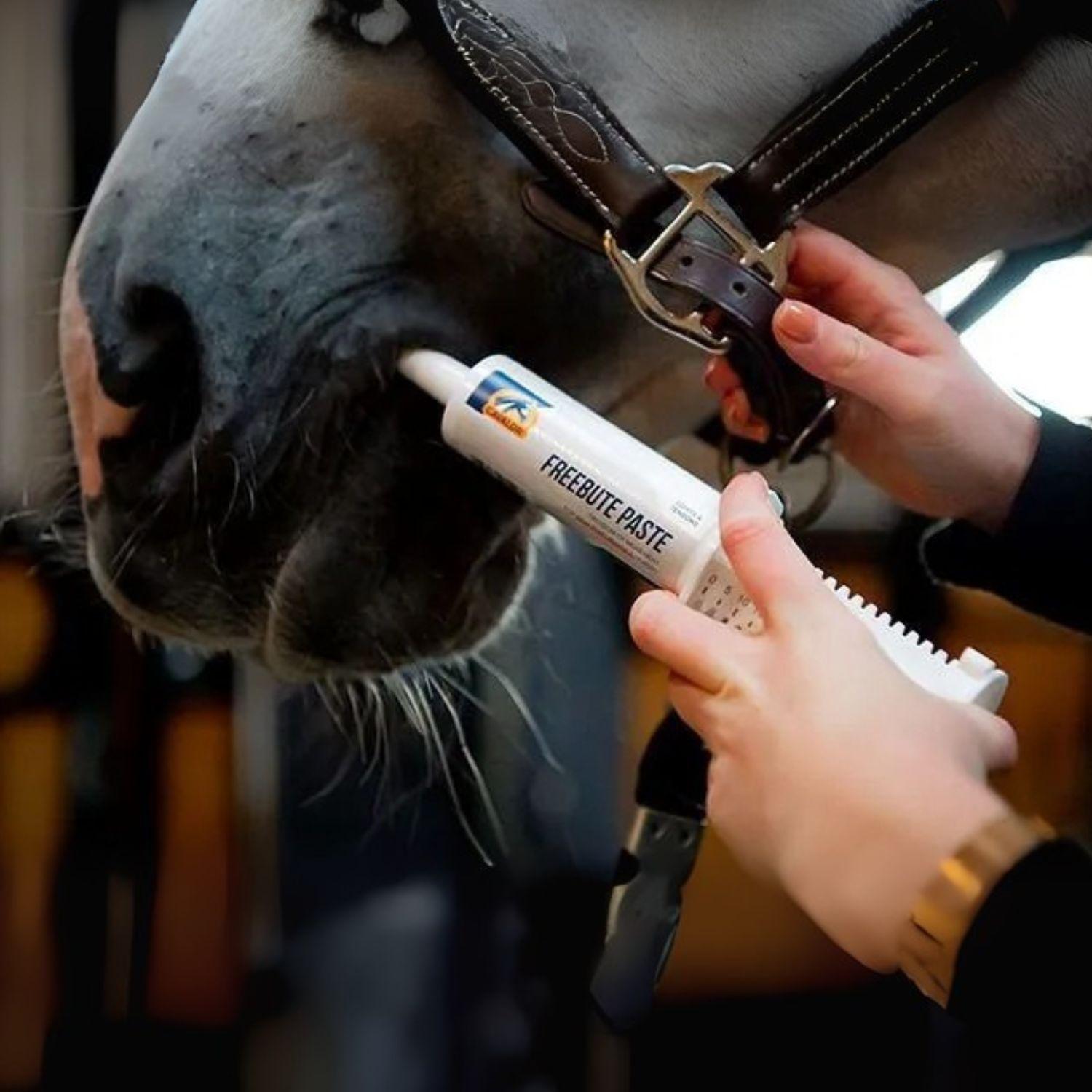 Cavalor FreeBute Paste für mehr Bewegungsfreude