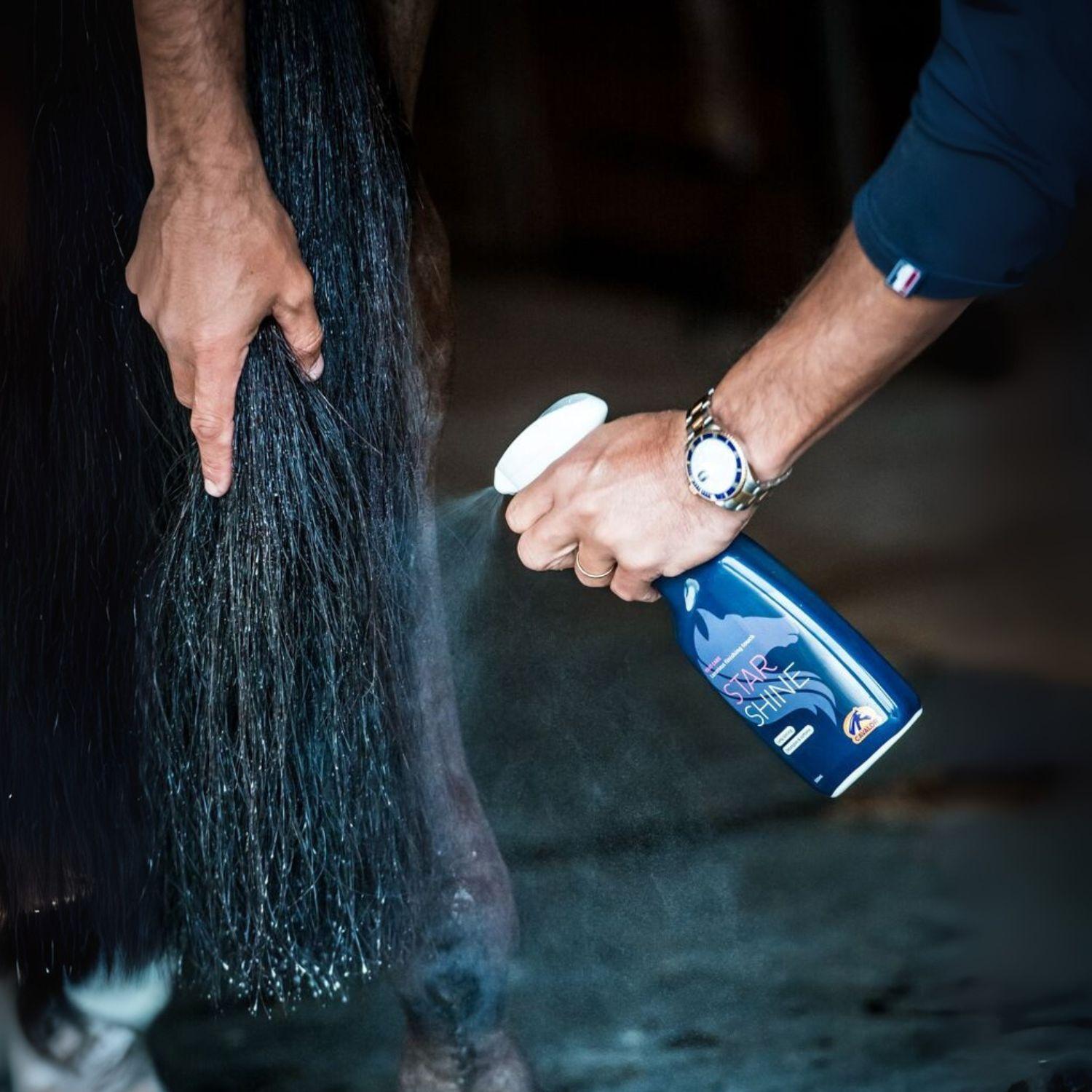 Cavalor Star Shine Conditioning Spray für Fell Mähne und Schweif