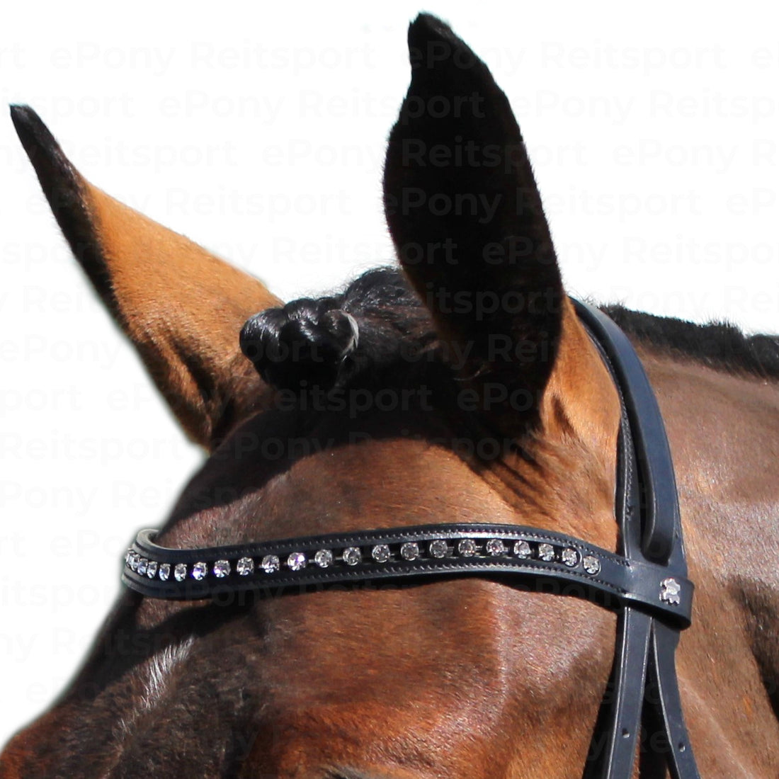 Döbert Farmer Trense englisch kombiniert schwarz mit Kristallstirnband - ePony Reitsport