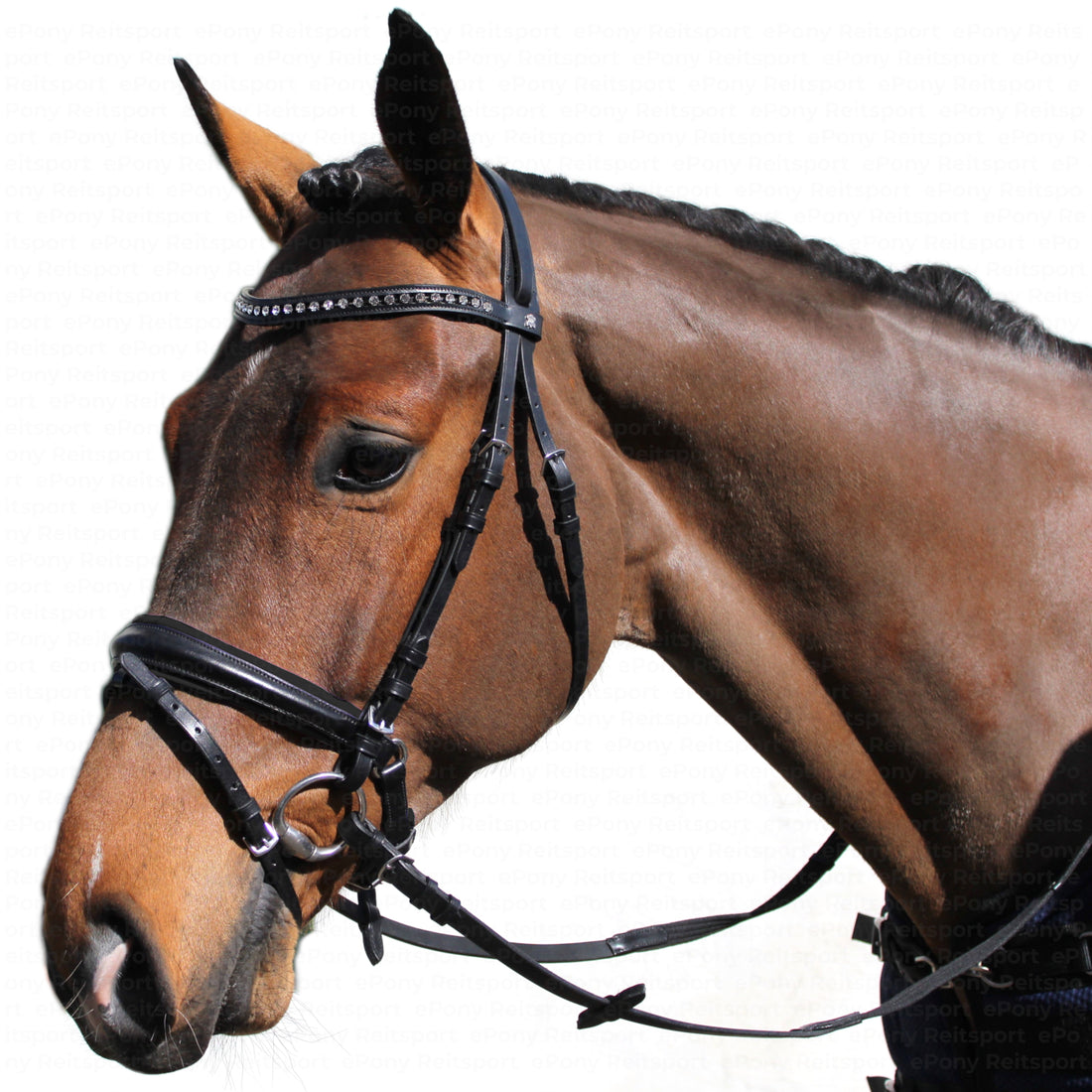 Döbert Farmer Trense englisch kombiniert schwarz mit Kristallstirnband - ePony Reitsport