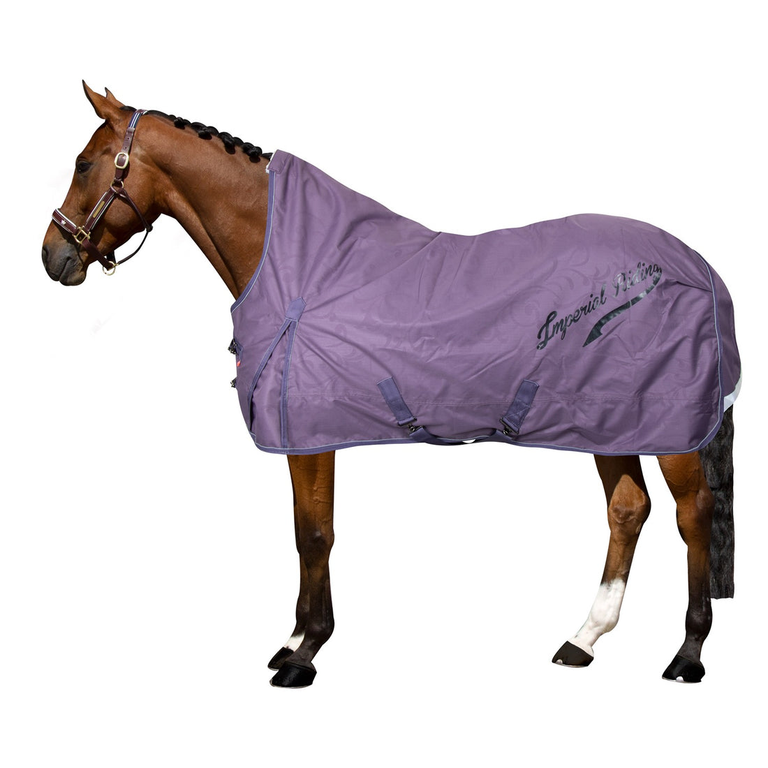 Imperial Riding Outdoordecke IRHSuper Dry 0gr amethist
