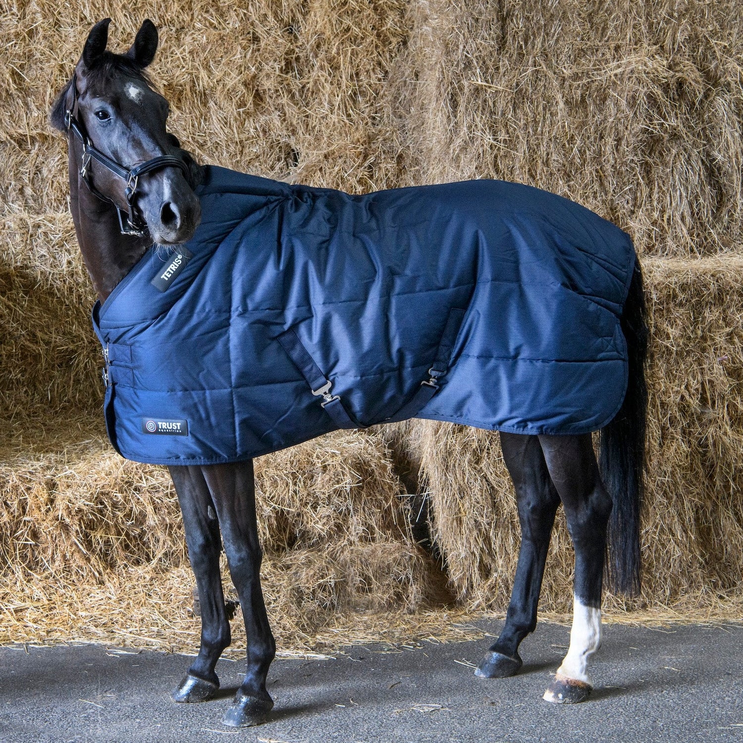 Trust Equestrian Stalldecke Tetris 200 g navy
