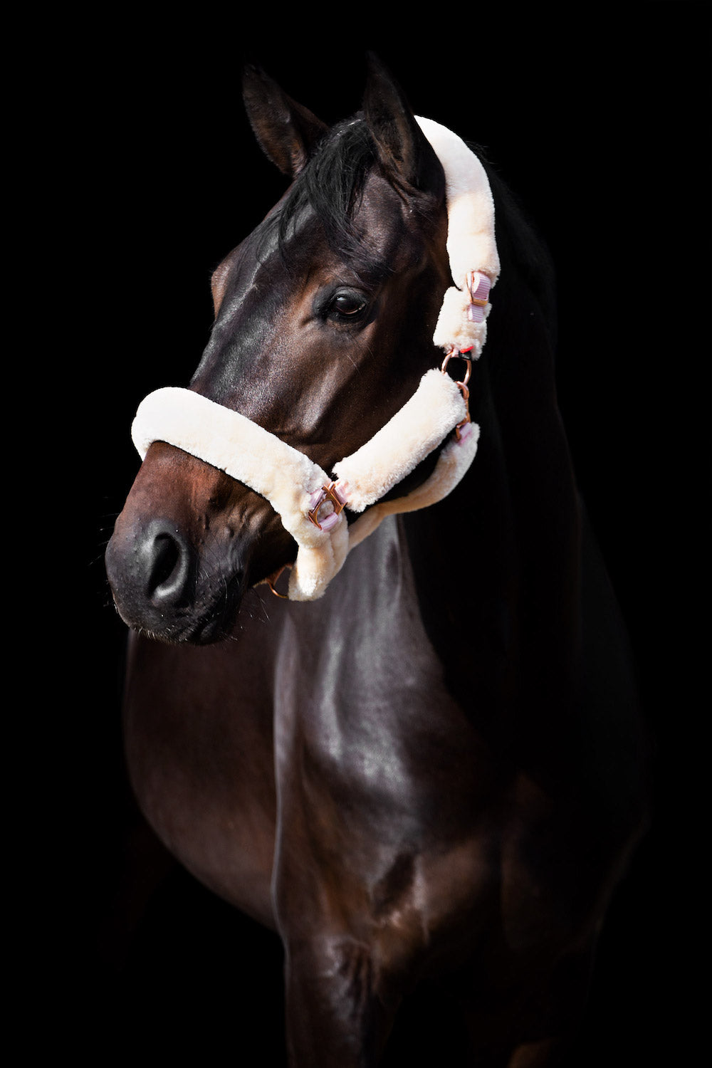 Imperial Riding Halfter Fur IRH Go Star classy pink