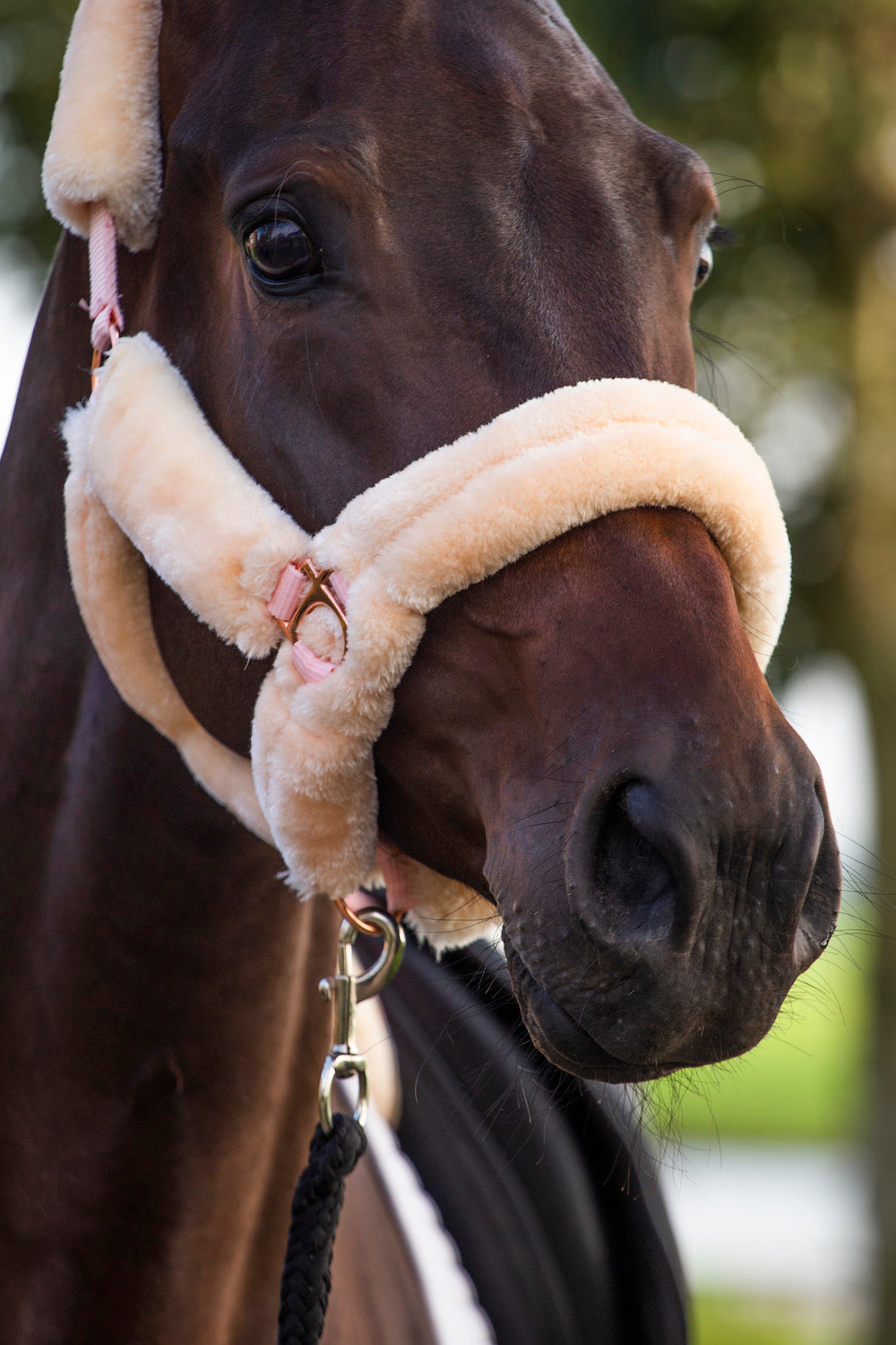 Imperial Riding Halfter Fur IRH Go Star classy pink