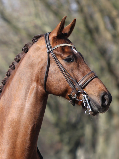 HES-Tec Quick Knot Deluxe Einflechthilfe schwarz