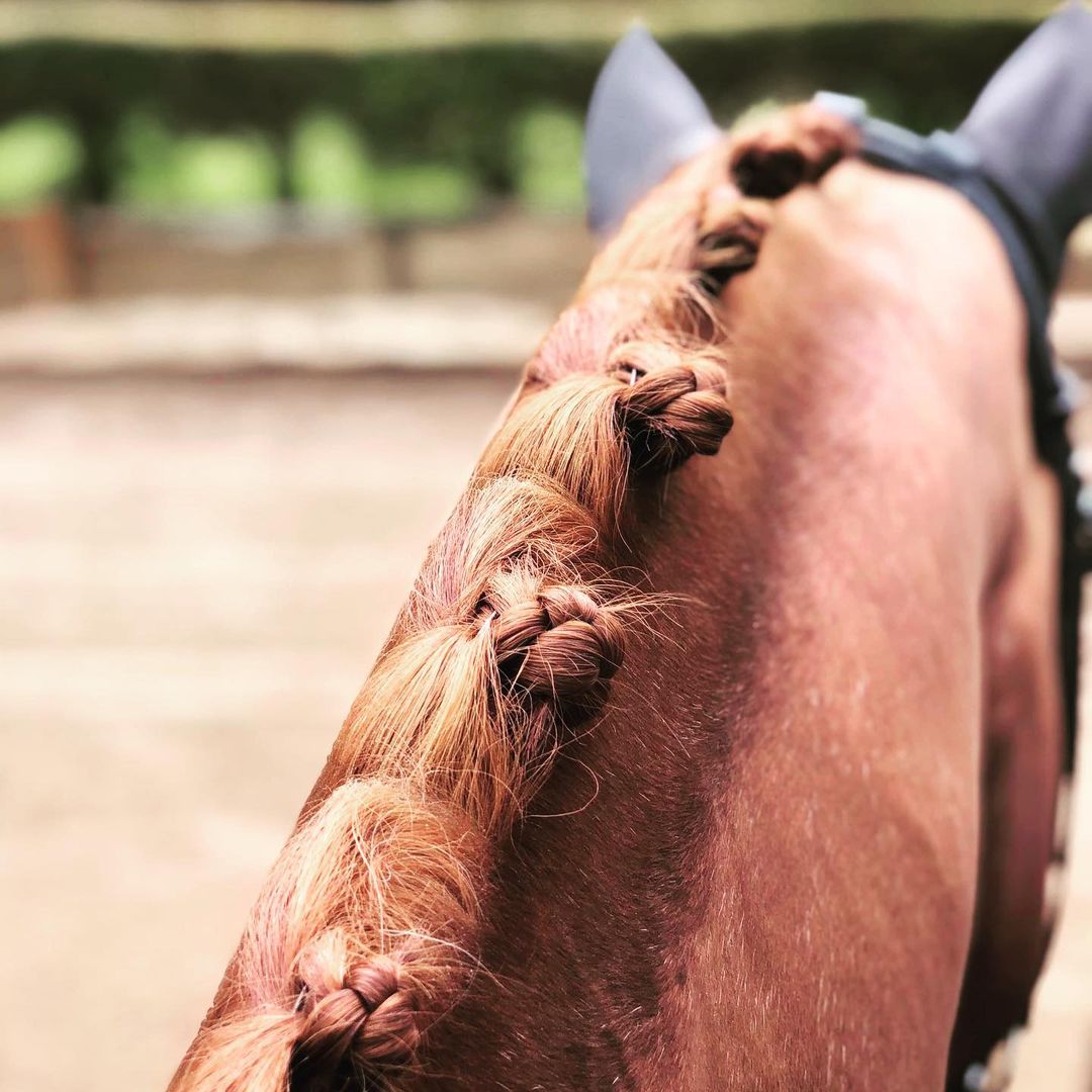 HES-Tec Quick Knot Deluxe Einflechthilfe schwarz