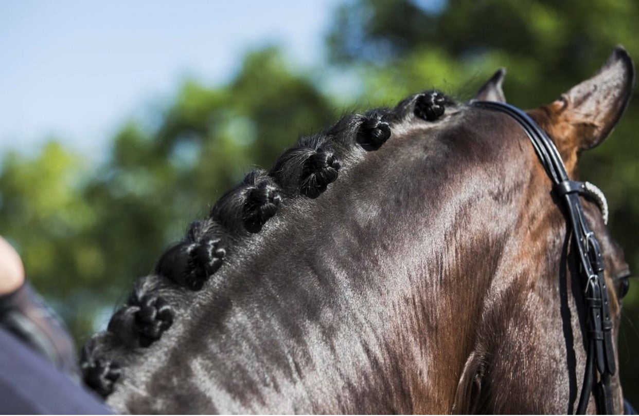 HES-Tec Quick Knot Deluxe Einflechthilfe schwarz