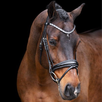 Imperial Riding IRHOlympia Trense schwarz Lack silber an einem Warmblutpferd. Die anatomische Dressurtrense ist mit Glitzer‑Zierkeder und einem schwarzen Lack-Nasenriemen ausgestattet. Die Zierkeder am Nasenriemen ist mit hellen klaren Kristallsteinen besetzt.