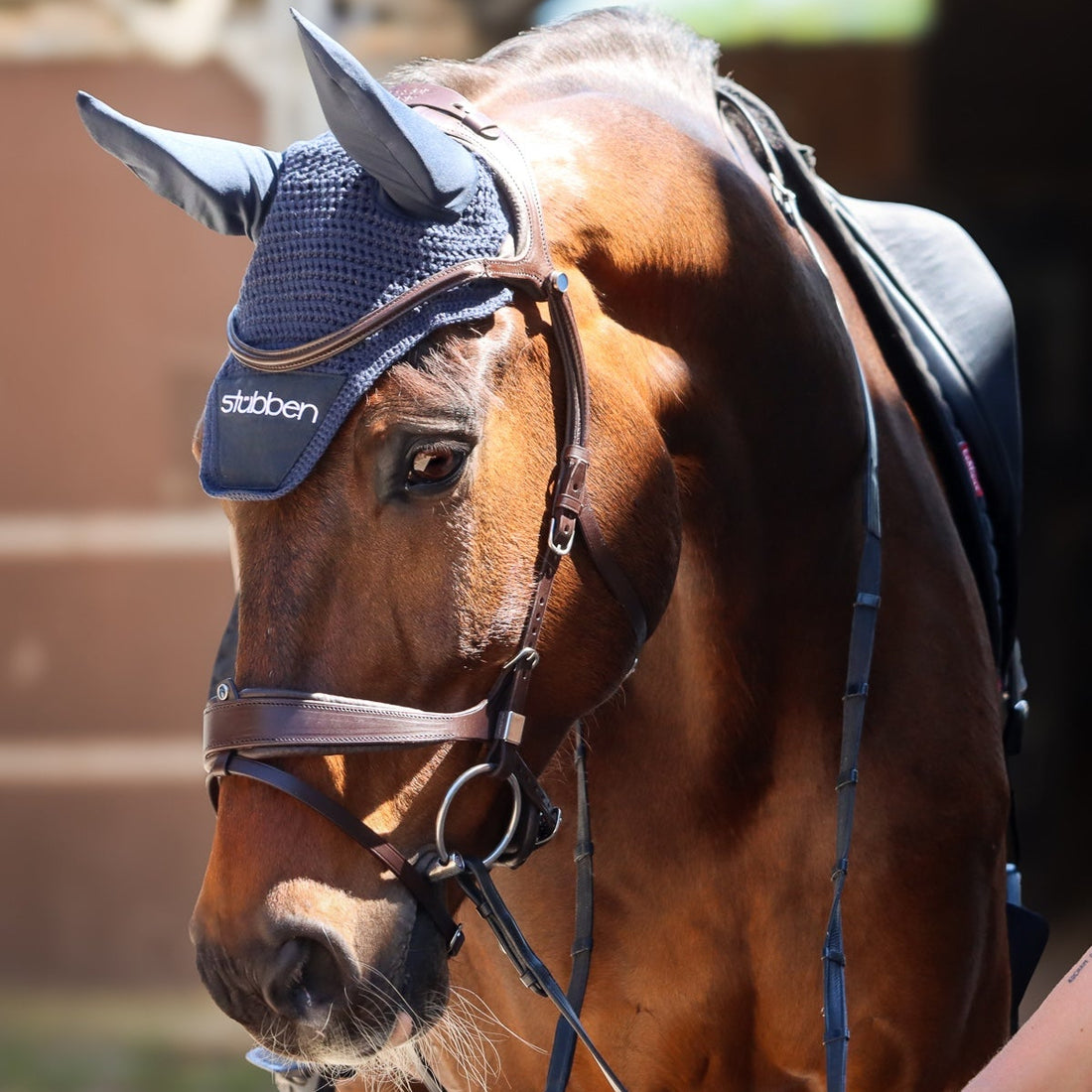 Stübben Bridle Freedom II with Slide&amp;Lock ebony/ebony