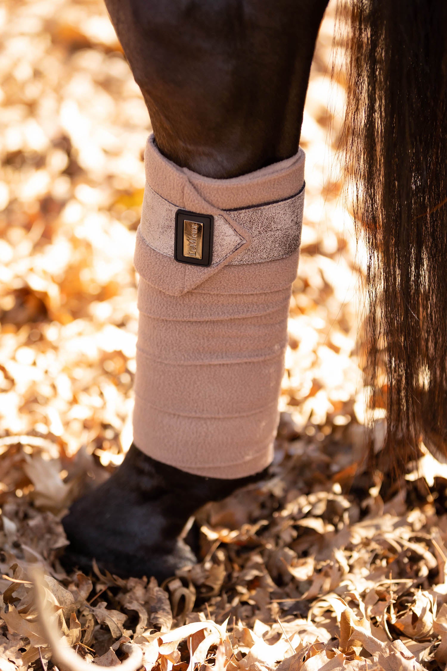 LeMieux Bandages Rhone Polo prosecco