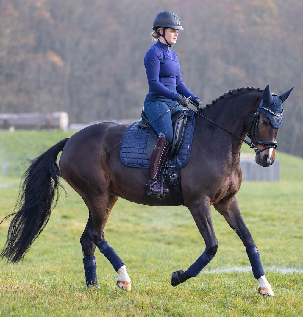 LeMieux Bandagen Rhone Polo vintage navy