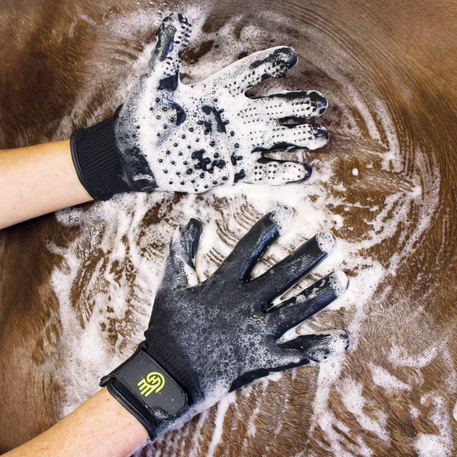 HandsOn Grooming Gloves Putzhandschuh schwarz - ePony Reitsport