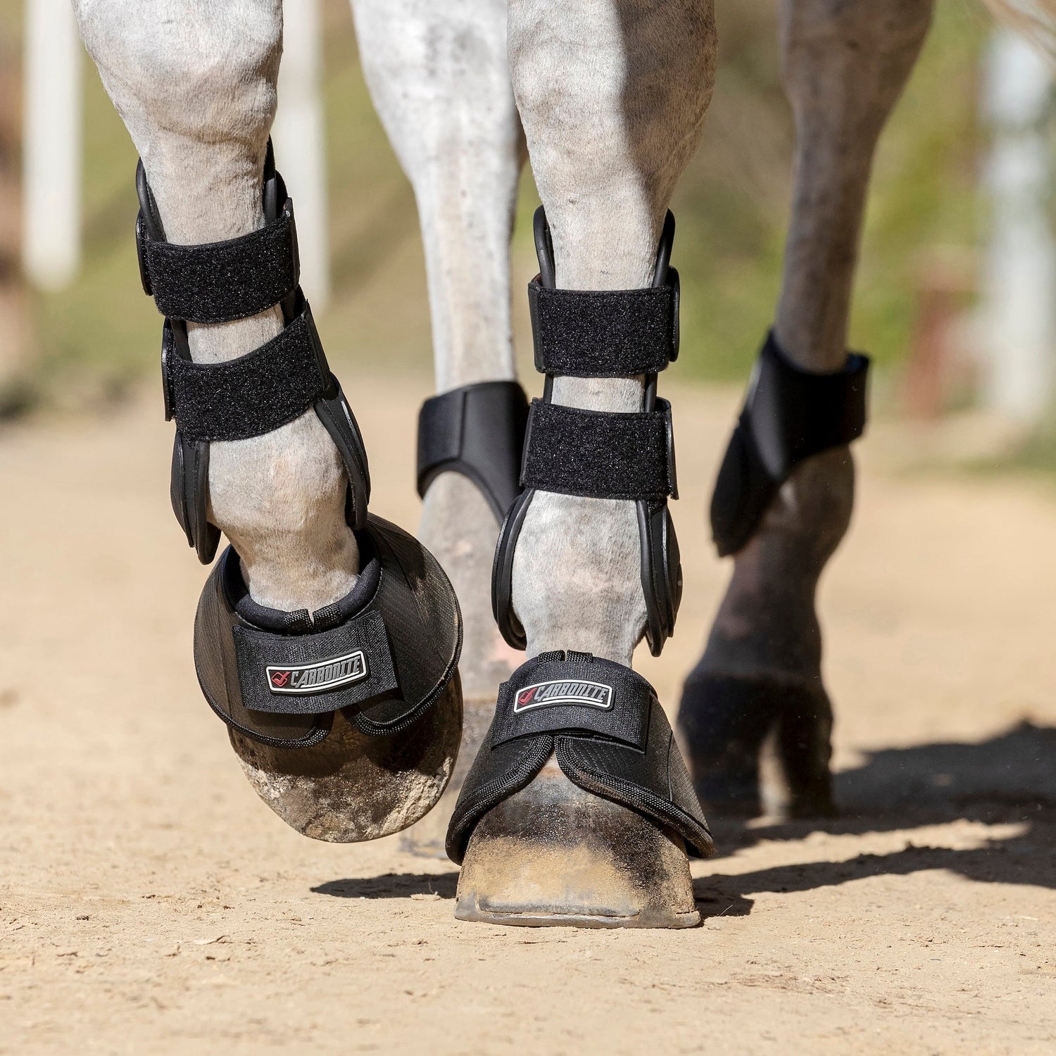 LeMieux Carbonite Springglocken Schwarz am Pferdebein im Einsatz beim Springen, geeignet für Training, Stangenarbeit, Gelände und Parcours mit schneller Beinarbeit.