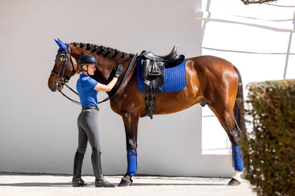LeMieux Schabracke Luxury Suede Dressage Square benetton blue
