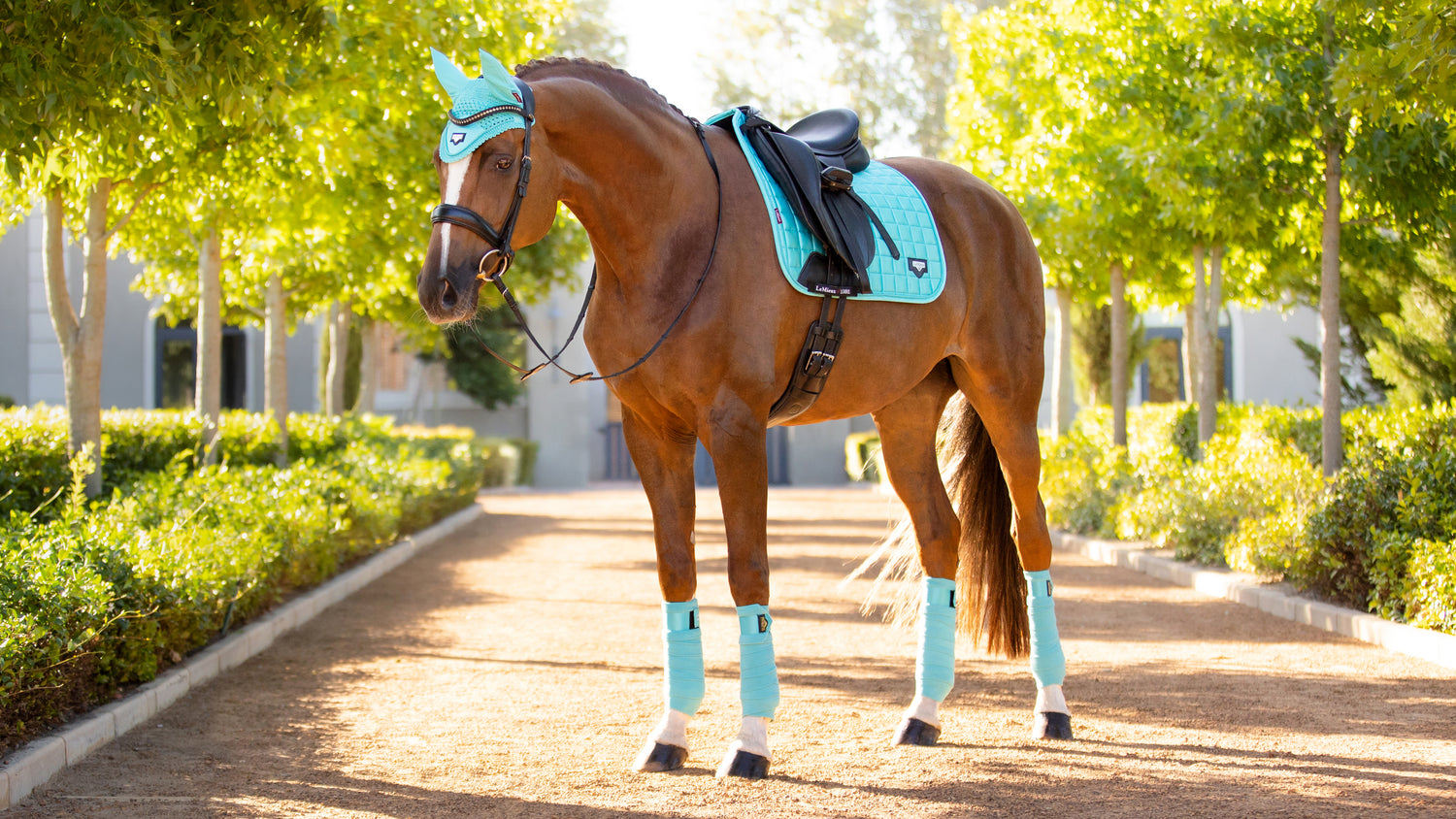 LeMieux Schabracke Loire Classic Satin Dressage Square azure