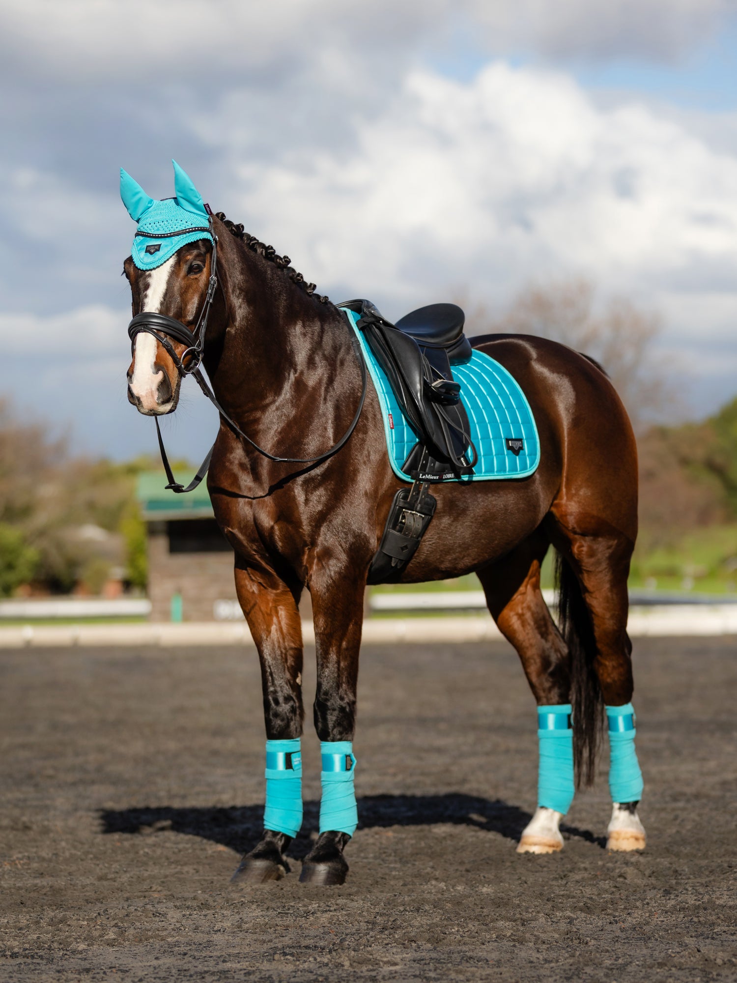 LeMieux Schabracke Loire Classic Satin Dressage Square azure