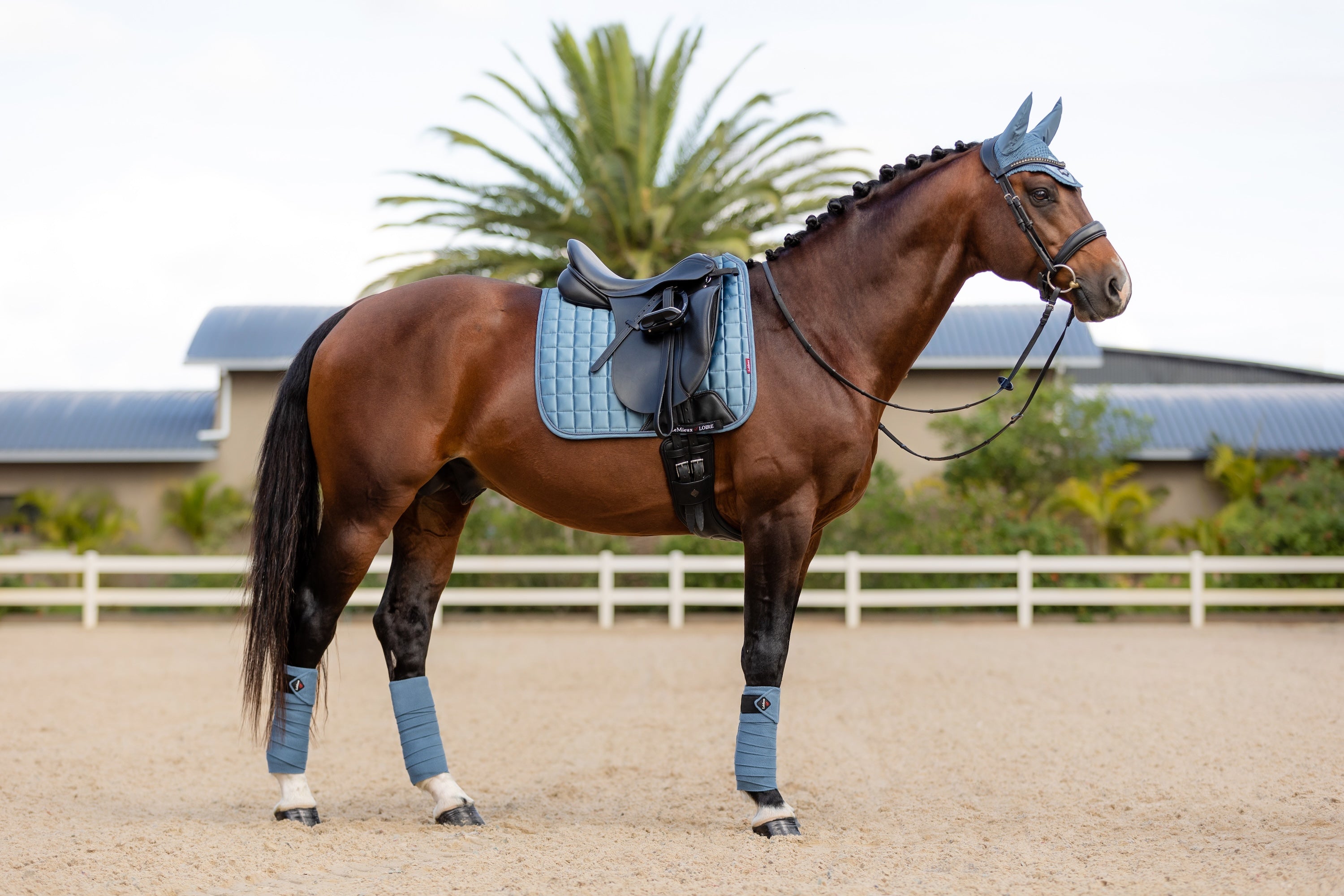 LeMieux Schabracke Loire Classic Satin Dressage Square ice blue
