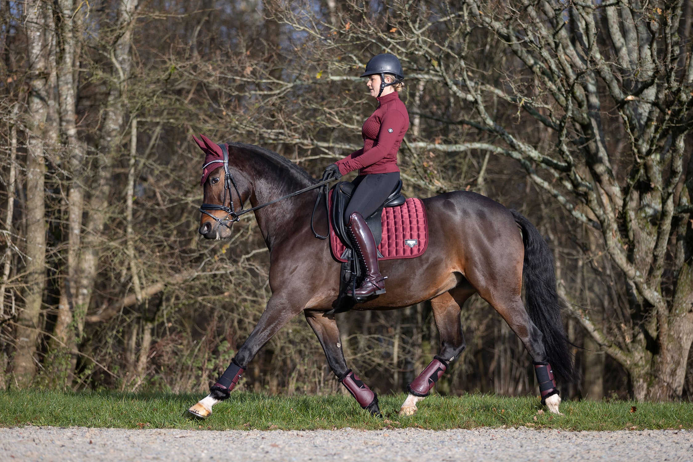 LeMieux Schabracke Loire Classic Satin Dressage Square rioja