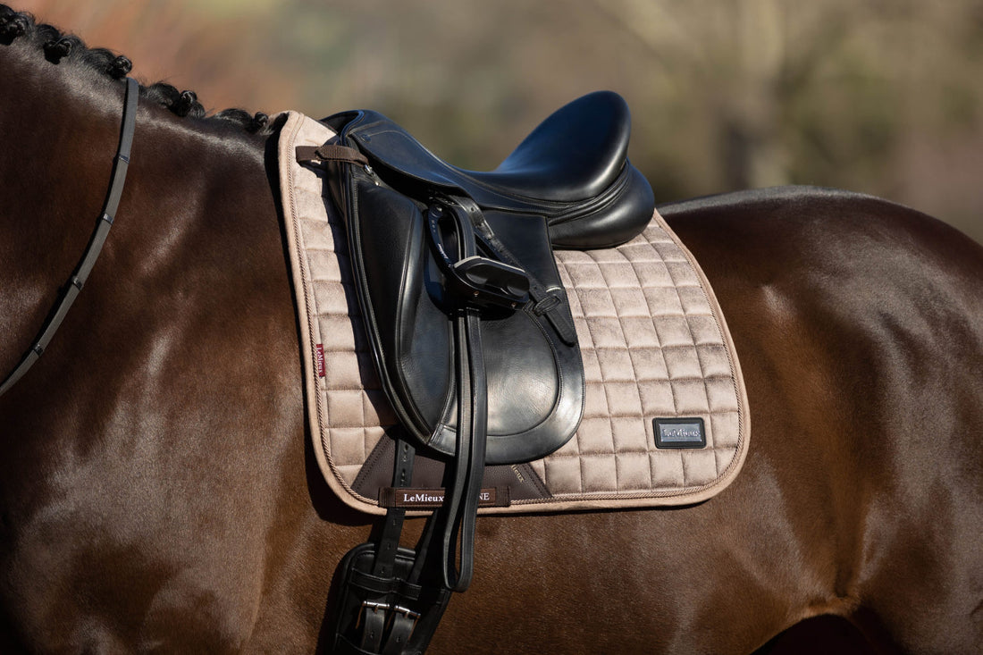 LeMieux Schabracke Rhone Dressage Square prosecco