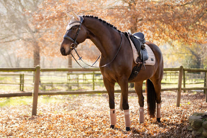 LeMieux Schabracke Rhone Dressage Square prosecco