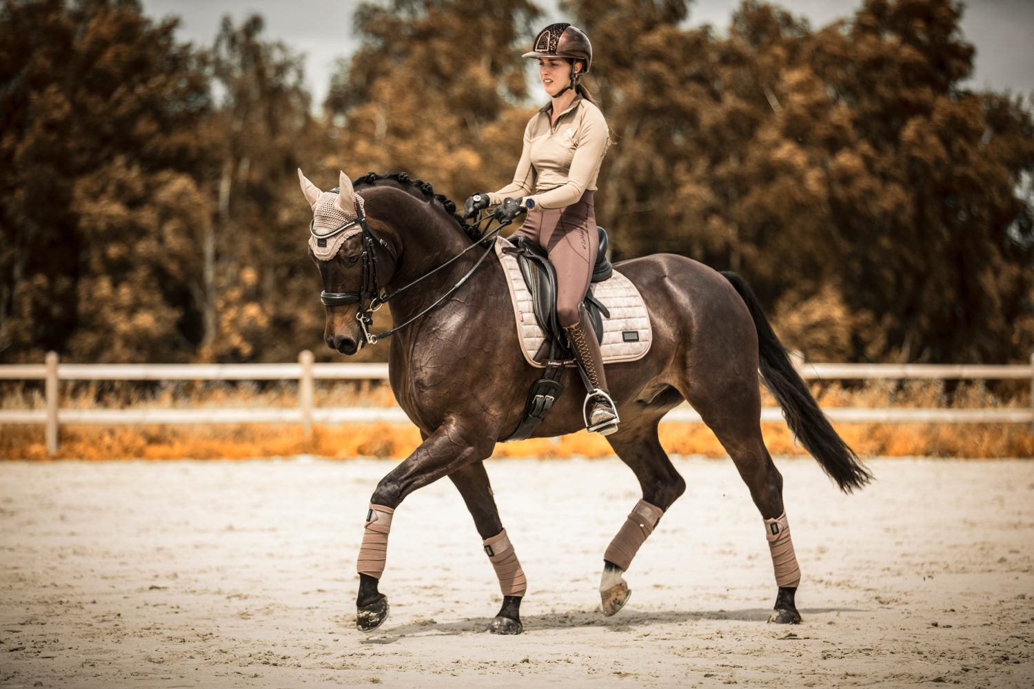LeMieux Schabracke Rhone Dressage Square prosecco