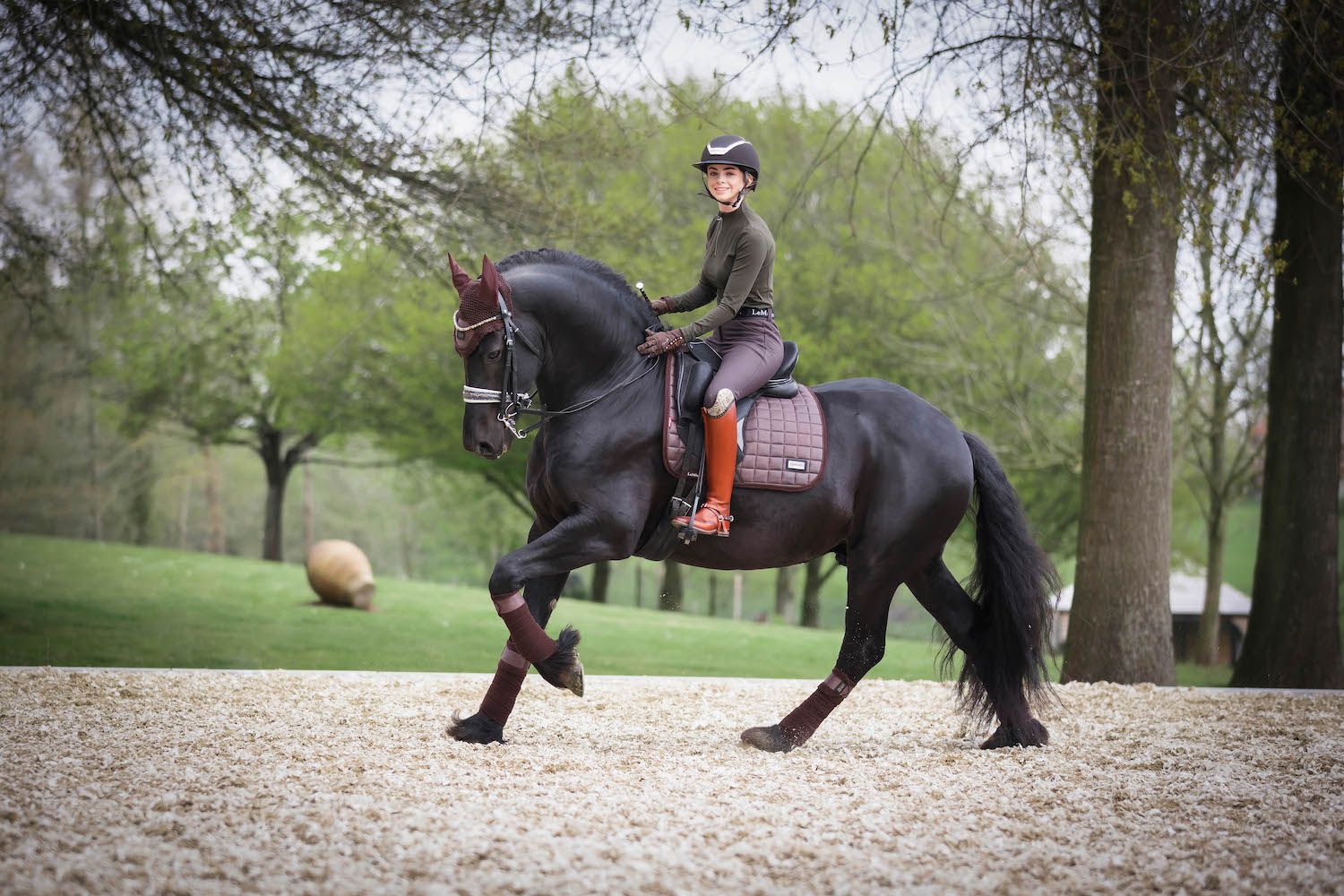 LeMieux saddle pad Rhone Dressage Square espresso