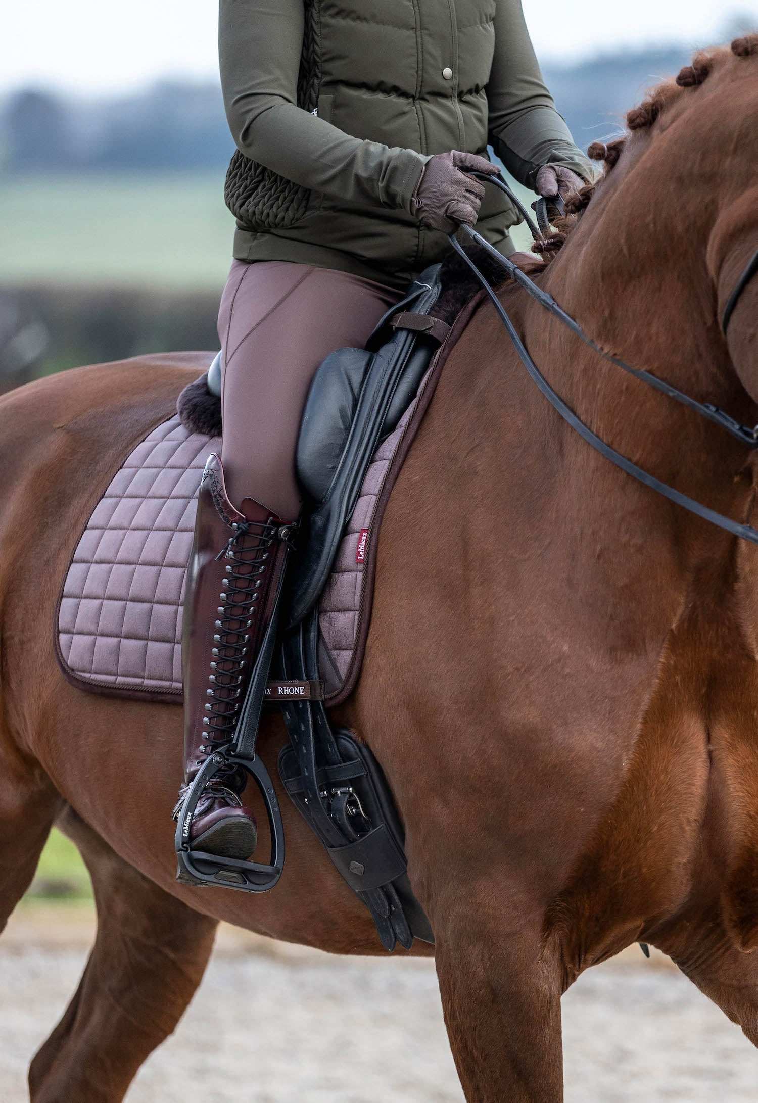 LeMieux Schabracke Rhone Dressage Square espresso