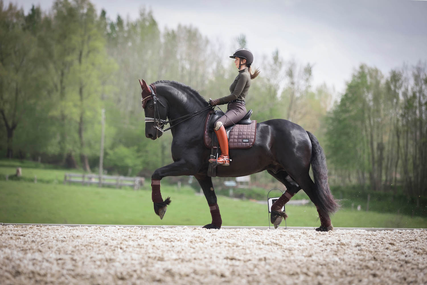 LeMieux saddle pad Rhone Dressage Square espresso