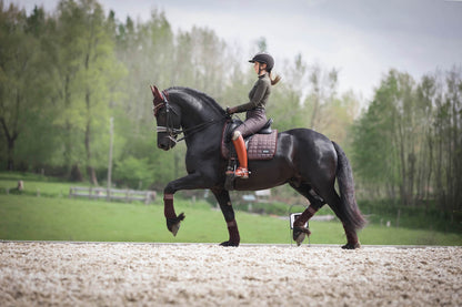 LeMieux Schabracke Rhone Dressage Square espresso