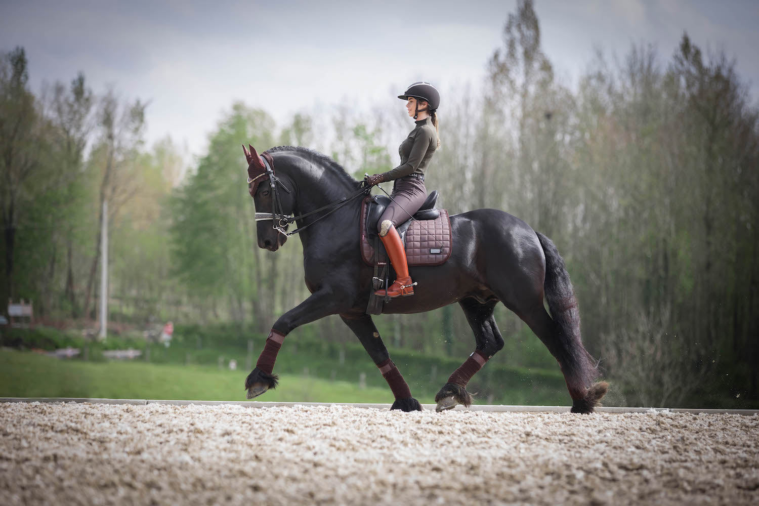 LeMieux saddle pad Rhone Dressage Square espresso