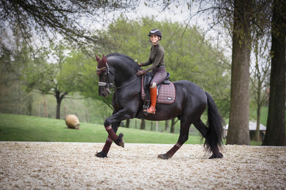 LeMieux Schabracke Rhone Dressage Square espresso