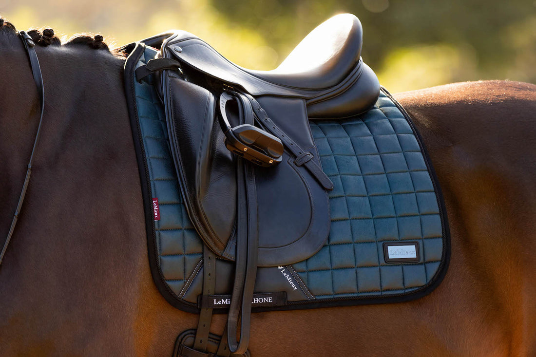 LeMieux Schabracke Rhone Dressage Square petrol