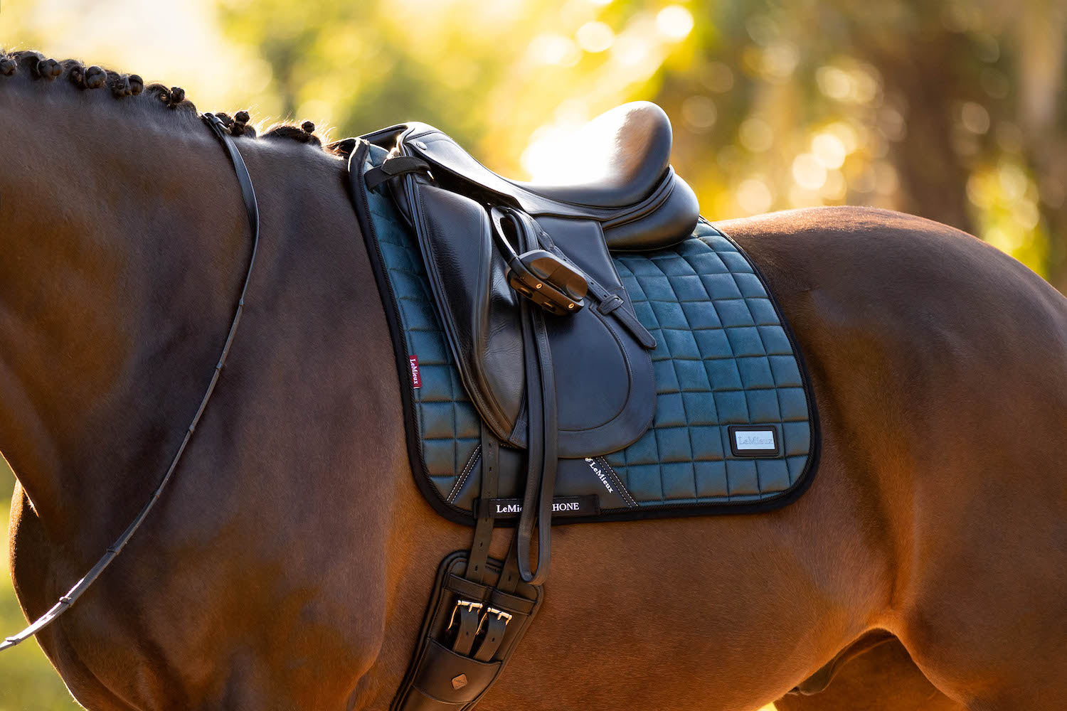 LeMieux Schabracke Rhone Dressage Square petrol