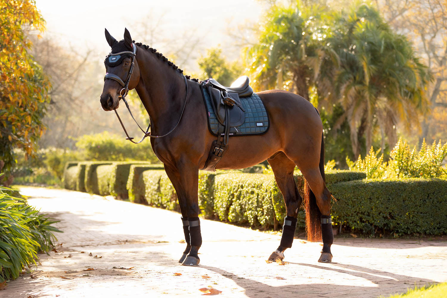 LeMieux Schabracke Rhone Dressage Square petrol