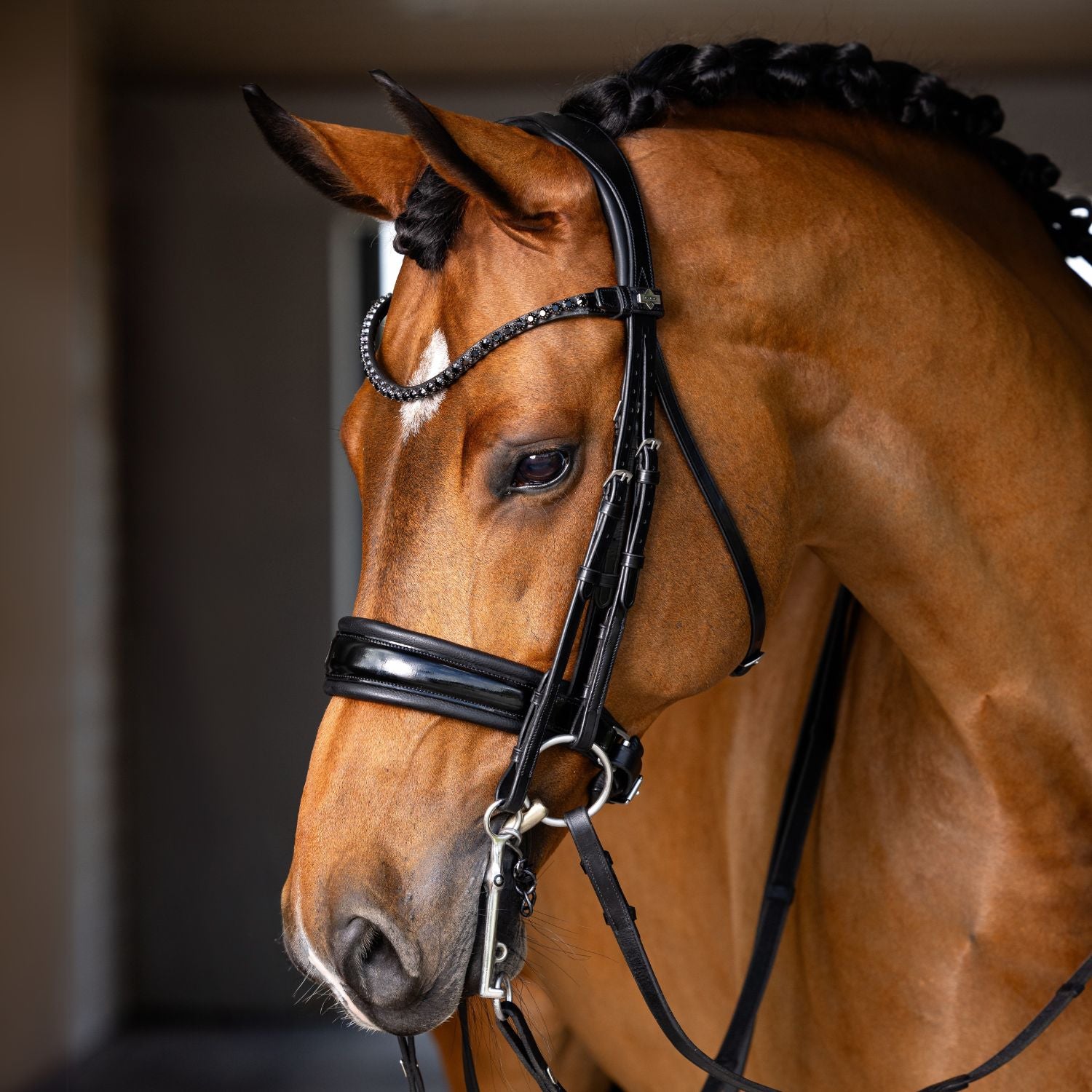 LeMieux Kudos curb bit black patent leather browband with black crystal stones