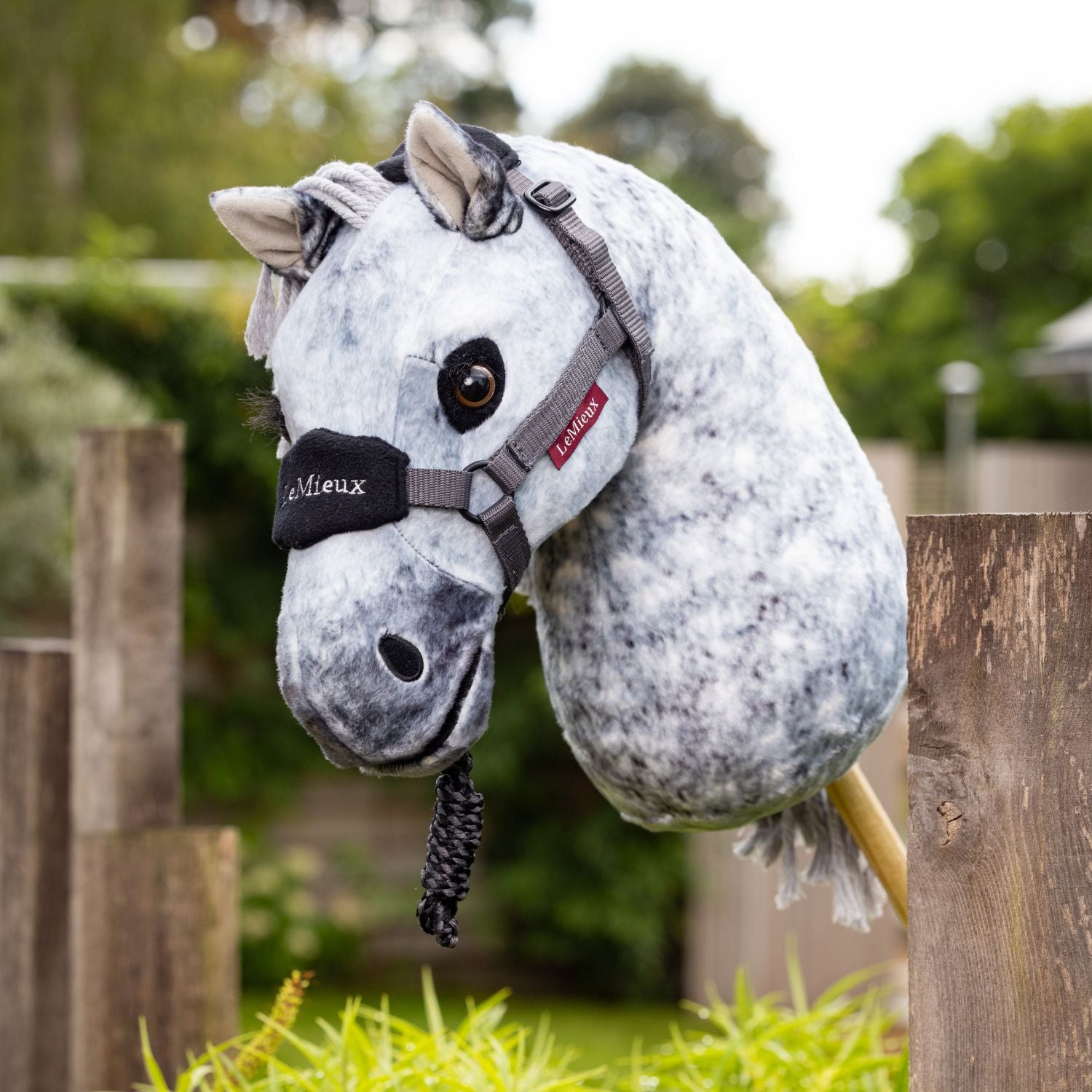 Steckenpferd Sammy mit Halfter und Strick. Zusätzliches Zubehör passend für alle LeMieux Hobby Horses wie Trensen, Kandaren, Halfter und Stricke sowie Hobby Horse Tragetaschen verfügbar bei ePony Reitsport.