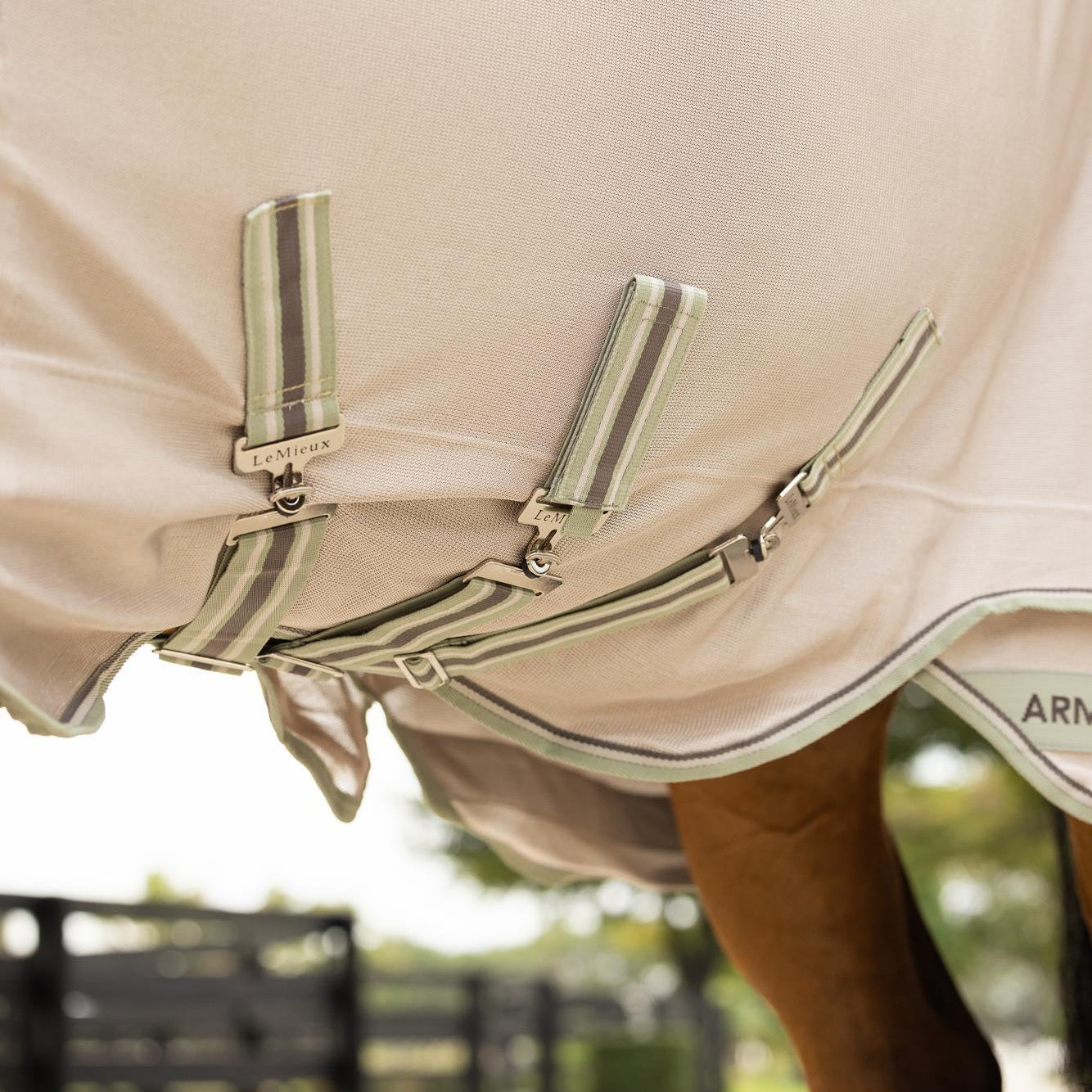 Detailansicht des verlängerten Bauchlappens der LeMieux Arika Armour-Tek Decke mit drei verstellbaren Bauchgurten für maximalen Schutz der empfindlichen Bauchnaht vor Insekten. Der mittlere Bauchgurt ist abnehmbar für mehr Flexibilität. So siet moderner Fliegenschutz am Pferd aus.