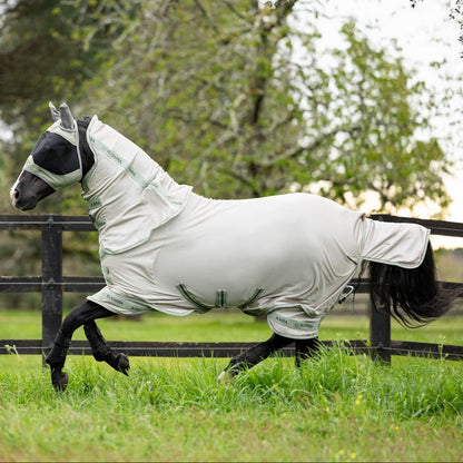 Absolute Bewegungsfreiheit im Galopp: Die LeMieux Arika Armour-Tek Fliegendecke schränkt das Pferd dank des flexiblen Mikromesh-Materials auch bei schnellen Bewegungen oder Bocksprüngen auf der Weide nicht ein.